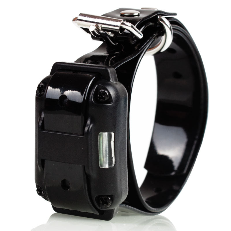 Tranpro™ Innovative Dog Training E-collar