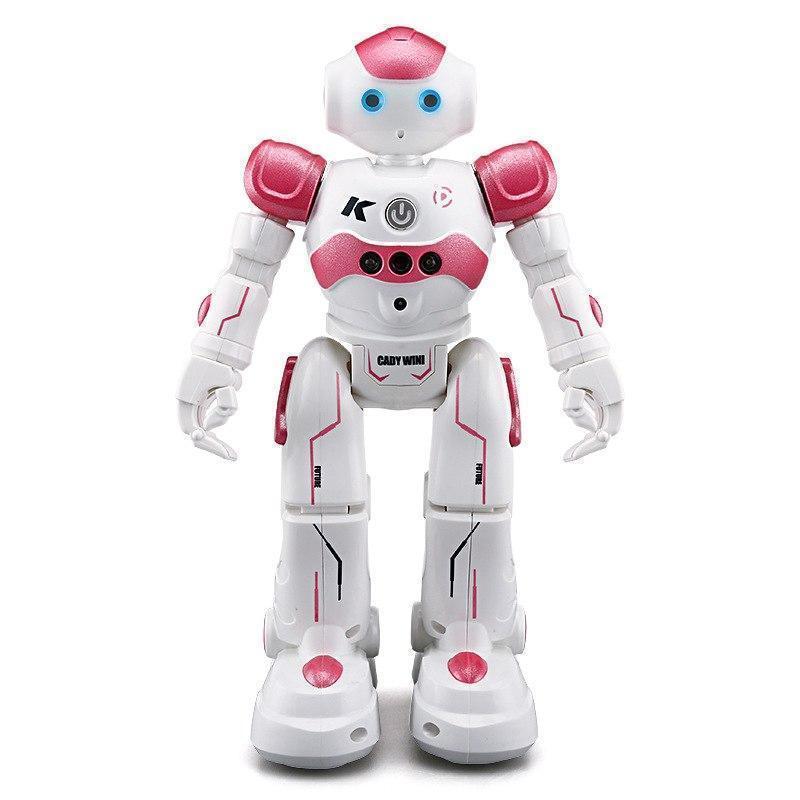 Limited Edition Humanoid Robot Toy for Kids – Remote Control Toy